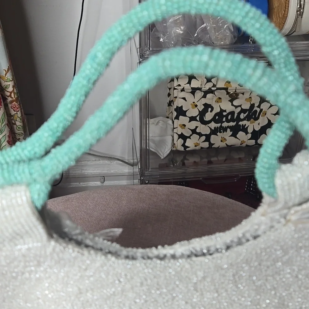 NWT India Sea Turtle Beaded Bag